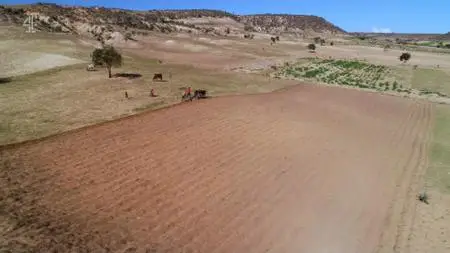 Ch4. - Summer of Wild Weather: Is Worse to Come? (2021)