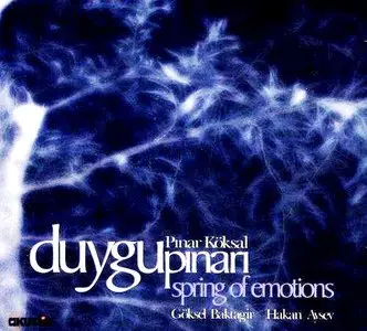 Pınar Köksal - Duygu Pınarı (Spring of Emotions) (2005)