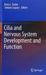 Cilia and Nervous System Development and Function [Repost]