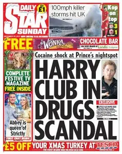 DAILY STAR SUNDAY - 22 December 2013
