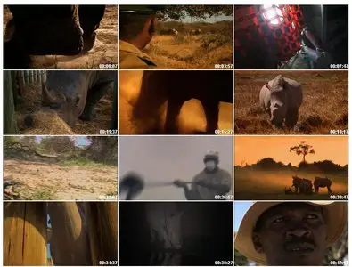 National Geographic - Rhino Rescue (2009)