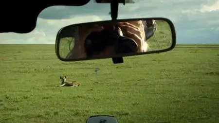 ORF - Hyaena Queen of the Masai Mara (2013)
