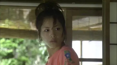 Hotaru no Hikari
