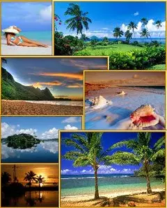 Wallpapers Tropical Paradise Pack 38