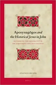 Aposynagōgos and the Historical Jesus in John: Rethinking the Historicity of the Johannine Expulsion Passages