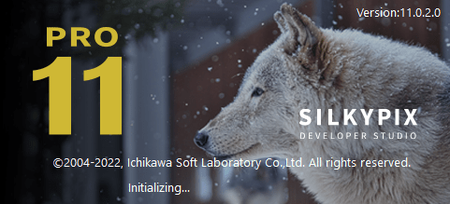 SILKYPIX Developer Studio Pro 11.0.4.1 (x64)