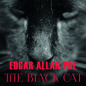 «The Black Cat» by Edgar Allan Poe