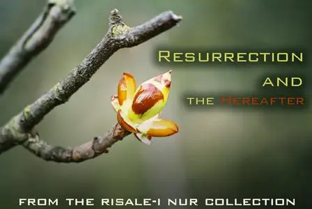 Resurrection and the Hereafter