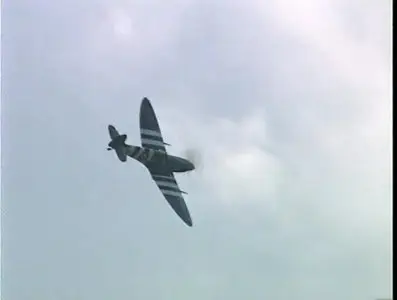 Spitfire at War. Power, Grace and Glory