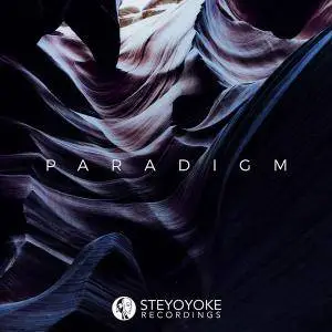 V.A. - Steyoyoke Paradigm Vol. 03 (2018)