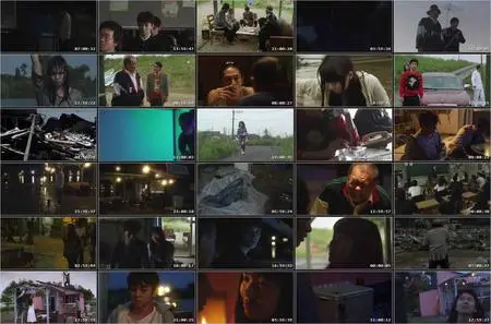 Himizu (2011)