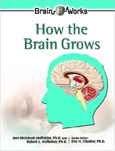 How the Brain Grows (Repost)