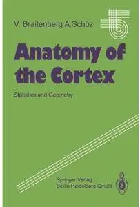 Anatomy of the Cortex: Statistics and Geometry [Repost]