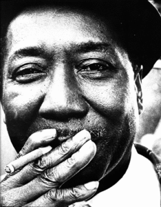 Muddy Waters - Unk In Funk - 1974 (2006)