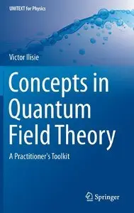 Concepts in Quantum Field Theory: A Practitioner's Toolkit (Repost)
