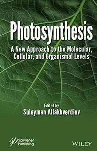 Photosynthesis: A New Approach to the Molecular, Cellular, and Organismal Levels (Repost)