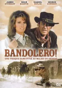 Bandolero! (1968)