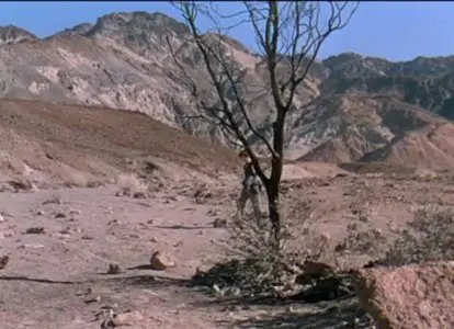 Cattle Drive (1951)