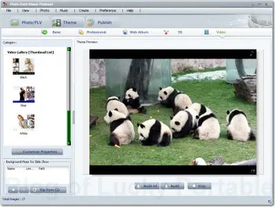 AnvSoft Photo Flash Maker Platinum 5.26 Portable