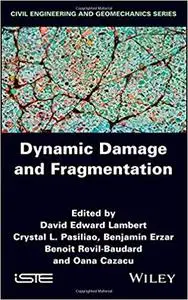 Dynamic Damage and Fragmentation