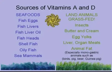 Nourishing Traditional Diets: The Key to Vibrant Health