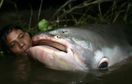 National Geographic - Hooked: Monster Fish of the Mekong (2011)