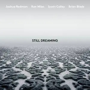 Joshua Redman - Still Dreaming (feat. Ron Miles, Scott Colley & Brian Blade) (2018) [Official Digital Download 24/96]