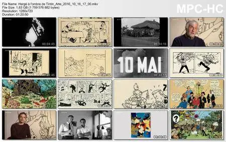 (Arte) Hergé à l'ombre de Tintin (2016)