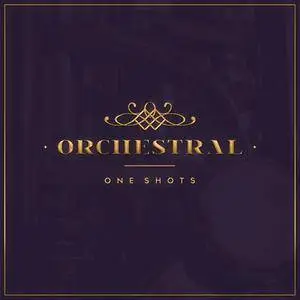 Diginoiz Orchestral One Shots MULTiFORMAT