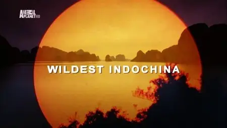 Discovery Channel - Wildest Indochina (2014)