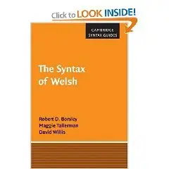The Syntax of Welsh