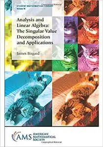 Analysis and Linear Algebra