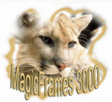 HumanSoftware MagicFrames v2.03