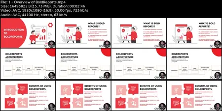 Data Visualization & Reporting w/ BoldReports [Masterclass]