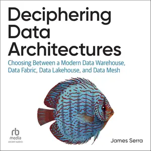 Deciphering Data Architectures [Audiobook]
