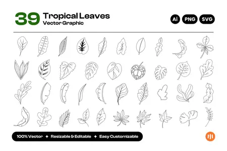 EE - Various Tropical Leaves Illustration Z9ZREXN