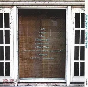 Salle Gaveau - Strange Device (2008)