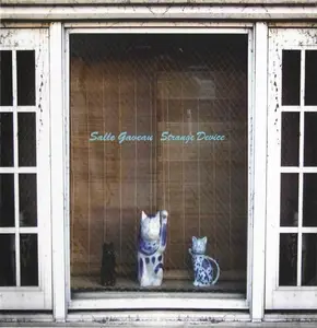 Salle Gaveau - Strange Device (2008)