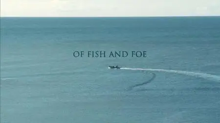 BBC - Of Fish and Foe (2020)