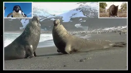 Absurd Planet S01E09