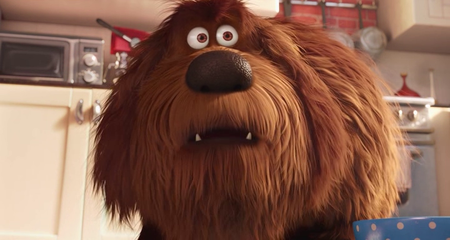 The Secret Life of Pets (2016)