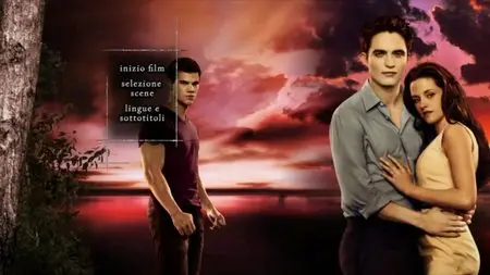 The Twilight Saga: Breaking Dawn - Part 1 - Special Edition (2011)