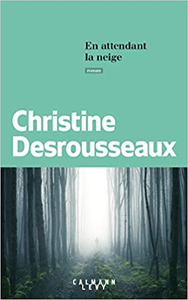 En attendant la neige - Christine Desrousseaux