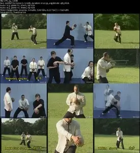 Tai Chi Ball Qigong 1 & 2 (2006)