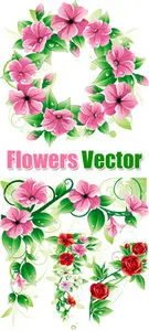 Beautiful Flowers Vector 