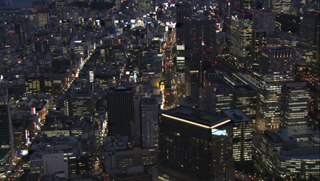 Virtual Trip Tokyo Twilight From The Air (2008)