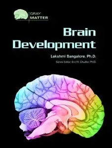 Brain Development (Gray Matter) (repost)