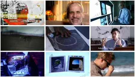 True Stories - Painting The Mind