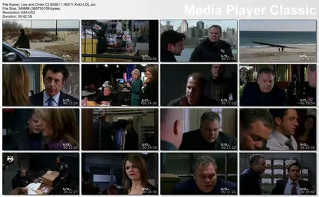 Law and Order CI S08E11