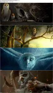 Legend of the Guardians: The Owls of Ga'Hoole (2010)